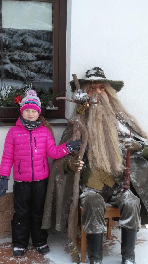 Vila Jensen Harrachov Luaran gambar